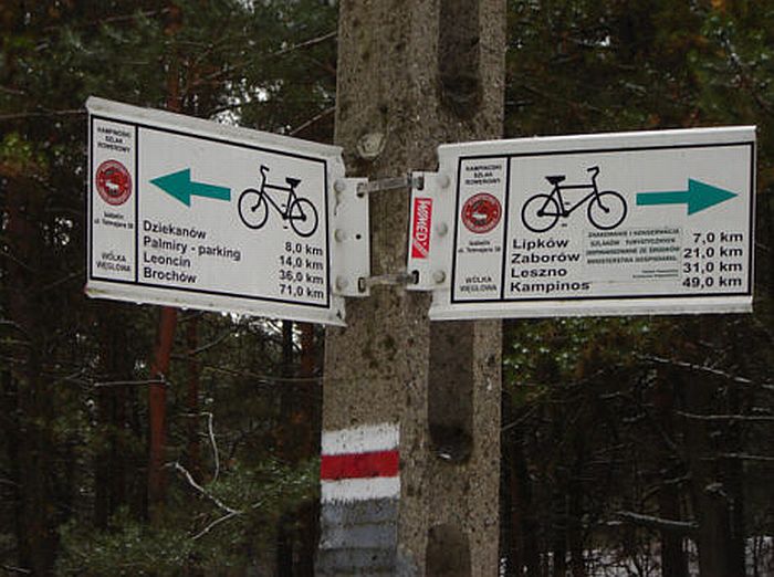 Puszcza kampinoska na rowerze